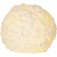 061-32_FL_001.png