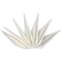 503-10_FL_002.png