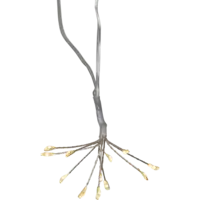 729-45_FL_001.png