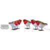587-20_MN.png