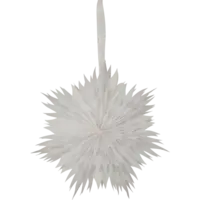 501-45_FL_001.png