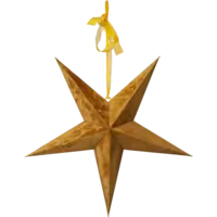 501-61_FL_001.png