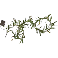 860-54_FL_001.png