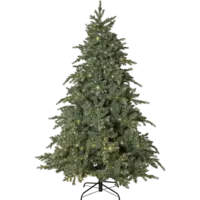 606-18_FL_001.png
