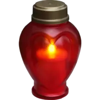 068-99-98_FL_001.png