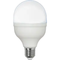 364-23_FL_001.png