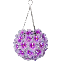 481-59_FL_001.png