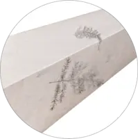 502-53_FL_002.png