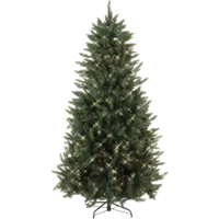 608-30_FL_001.png