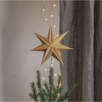 Toppstjärna Isa