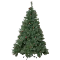 610-01_FL_001.png