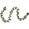 612-57_MN.png
