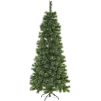 610-30_FL_001.png