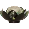 482-81_MN.png