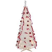 603-95_FL_001.png