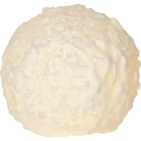 061-31_FL_001.png