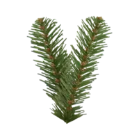 606-07_FL_002.png