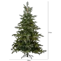 608-55-2_MT.png