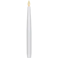 066-31_FL_002.png