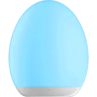 357-61_FL_007.png