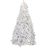 456-03,608-38_FL_001.png