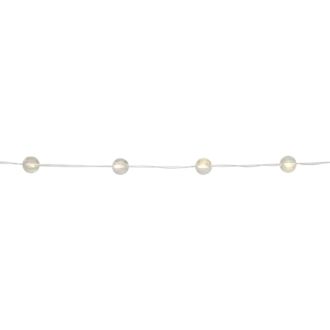 Ljusslinga Berry