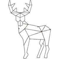 582-53_FL_001.png