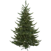 608-55_FL_001.png