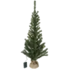 600-61_MN.png