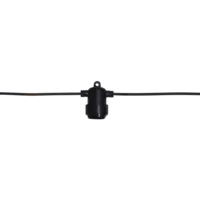 491-52_FL_001.png