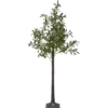 860-53_MN.png