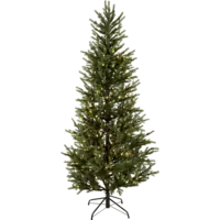 606-33_FL_001.png