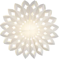 501-11_FL_001.png