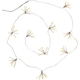 Ljusslinga Flower
