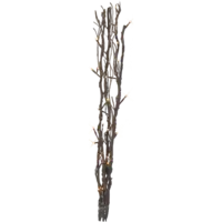 584-31_FL_001.png