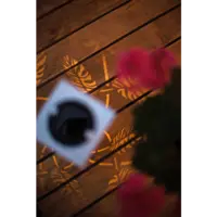 482-22_MB_008.png