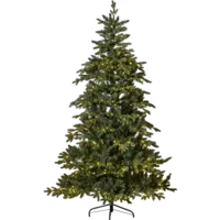 608-66-1_FL_001.png
