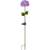 481-57_MN.png
