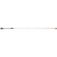 484-50_FL_001.png