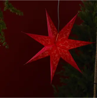 Pappersstjärna Decorus