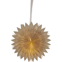 501-43_FL_001.png