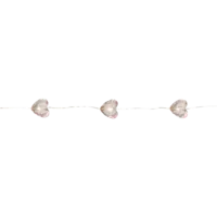 729-78_FL_002.png