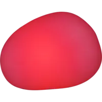803-77_FL_005.png