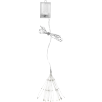 710-17_FL_001.png