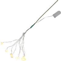 728-33_FL_001.png
