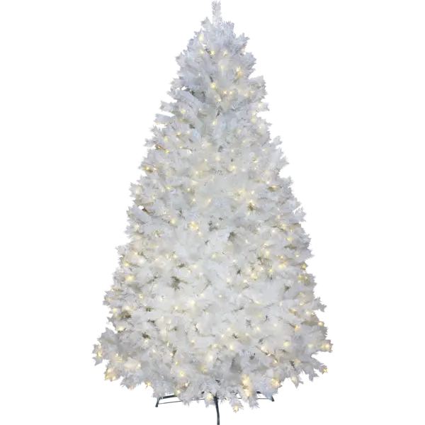 608-42_FL_002.png