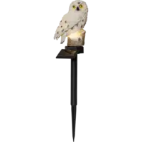 482-25_FL_001.png