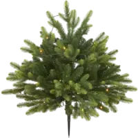 606-88_FL_001.png