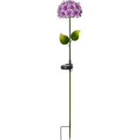 481-57_FL_002.png