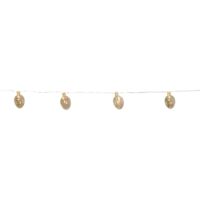 729-60_FL_001.png